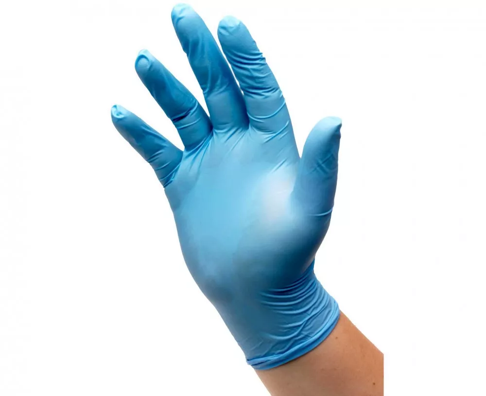 Blue Vinyl Food Safe Gloves - Coffee Supplies